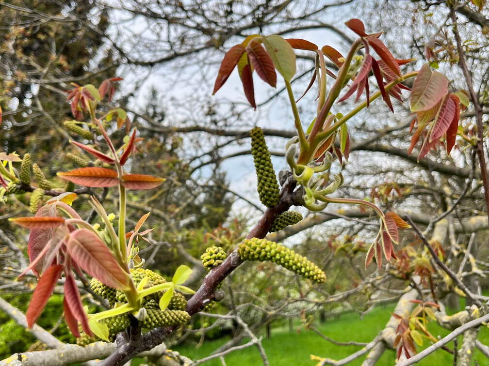 22-04-25 12-30-33 0626